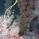 Image for article titled Methane-exhaling microbes found in undersea volcanoes reset the limits of life